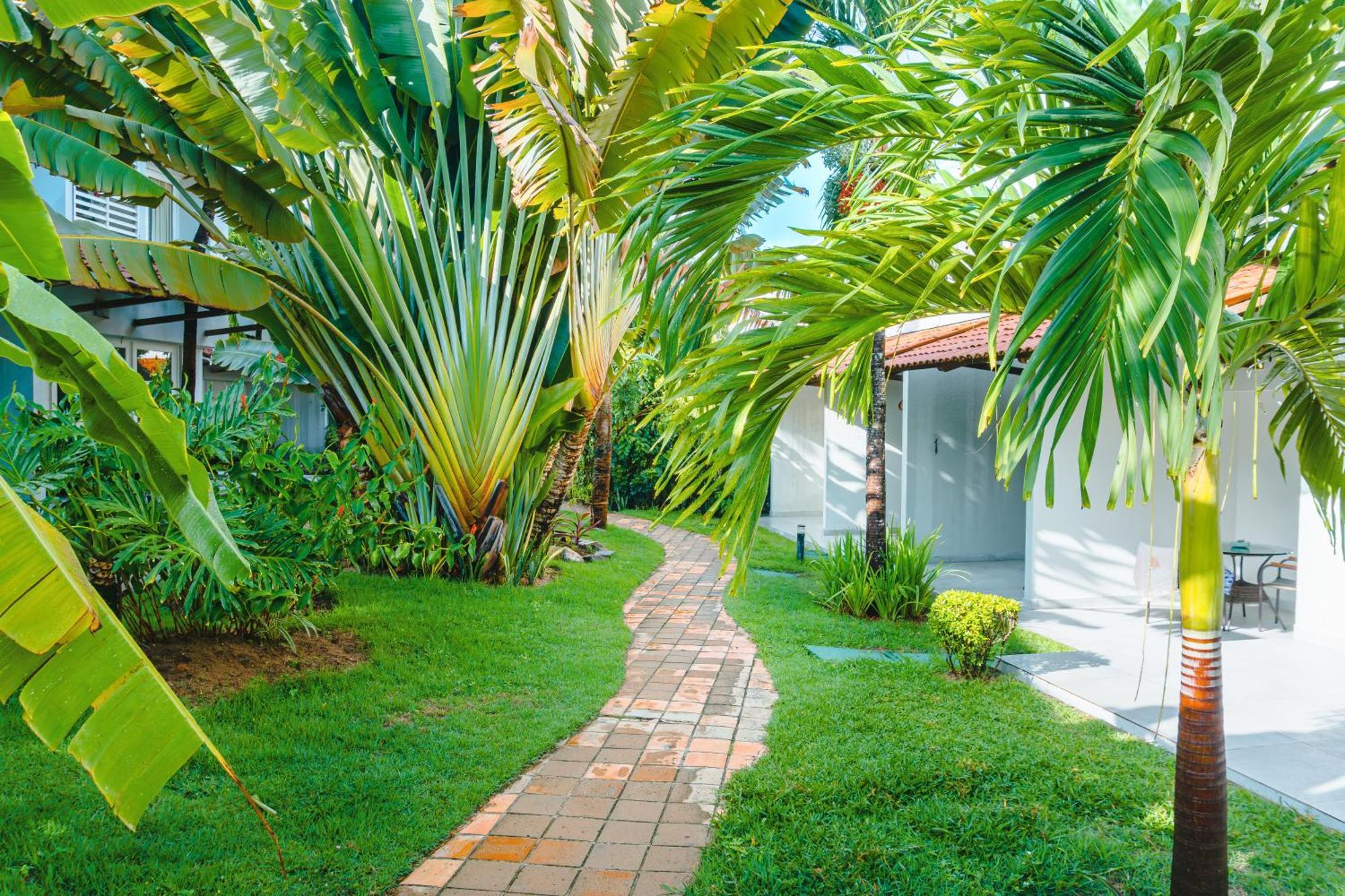 Hotel Pipa Atlantico Praia de Pipa Bagian luar foto